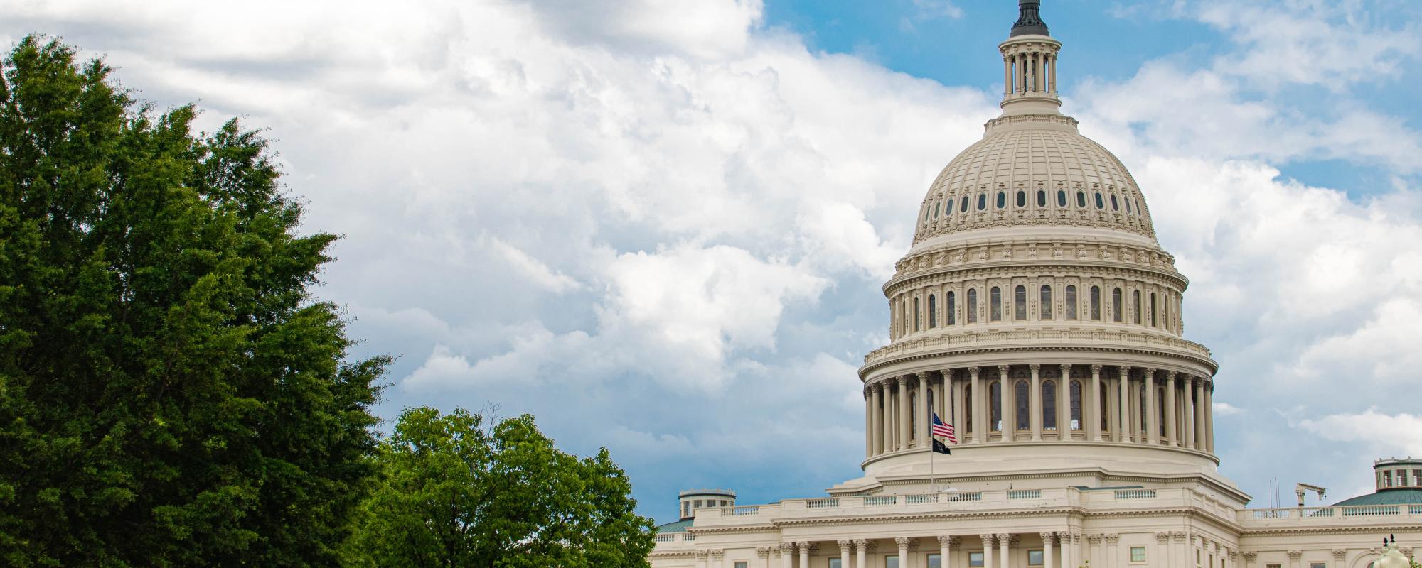 The United States Capitol Building in Washington