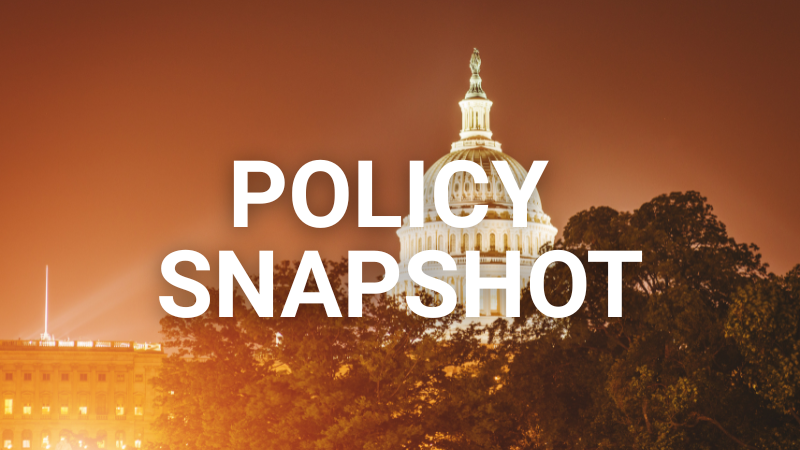 Policy Snapshot 1
