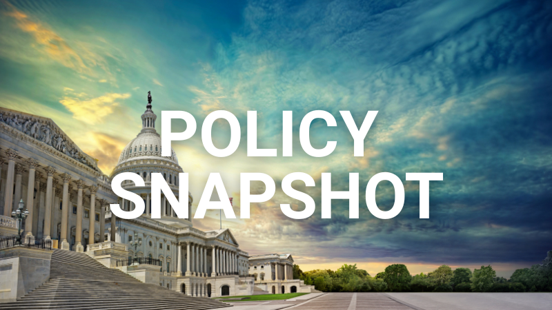 Policy Snapshot 2