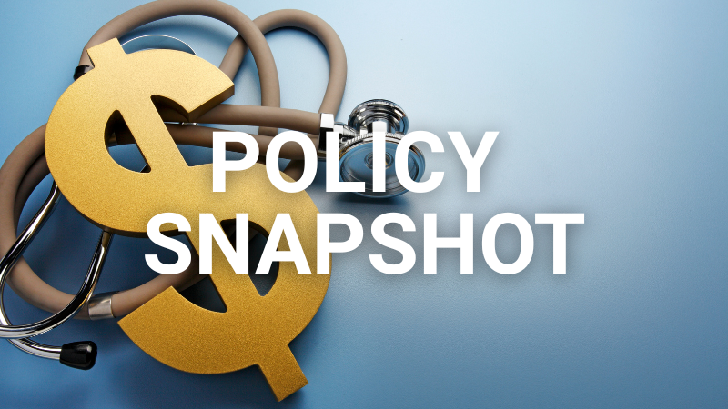 Policy Snapshot 3