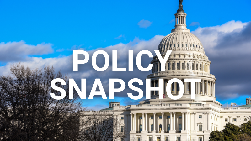 Policy Snapshot 4